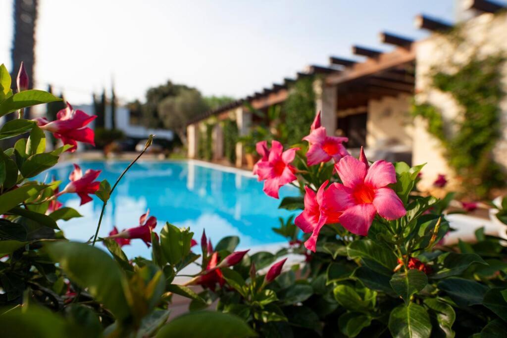 Spaziosa Villa Con Piscina E Giardino, Polignano A Mare Polignano a Mare Exterior foto